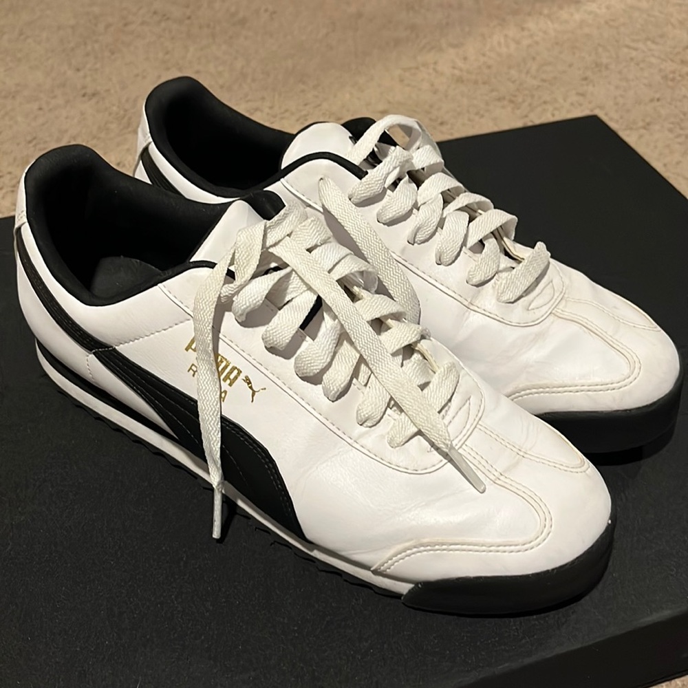 Puma Romas